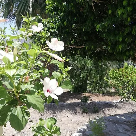 House With Garden In * Bodrum